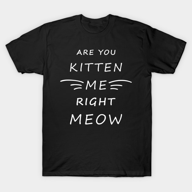 Are You Kitten Me Right Meow T-Shirt by Lasso Print